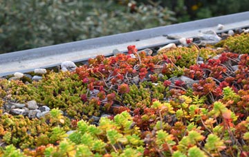 the cost of Appleford green roof installation