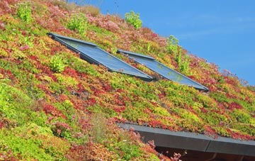 Appleford living roof systems